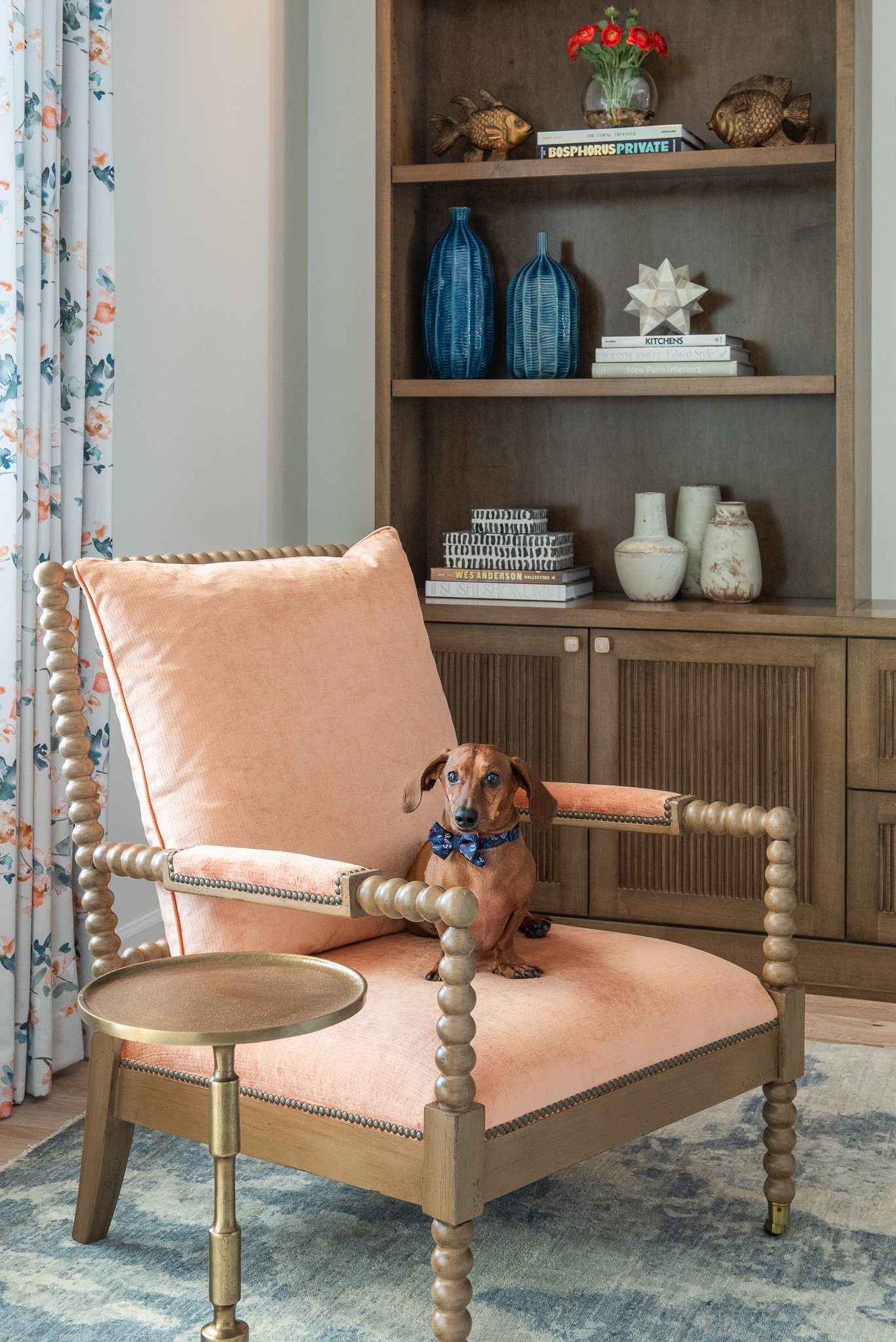 A small brown dog wearing a blue bow tie sitting on a peach-colored armchair with a cushion in a living room. The background features a wooden cabinet with decorative vases, books, and art pieces, and floral curtains.