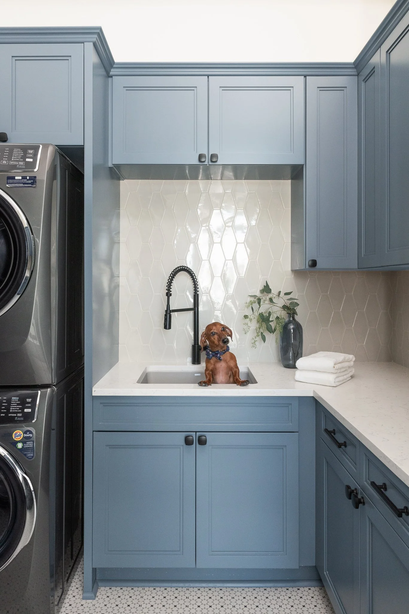 A small dog sitting in a white laundry sink in a modern blue kitchen with hexagonal tiles and a black faucet, surrounded by folded white towels and a glass vase with greenery.