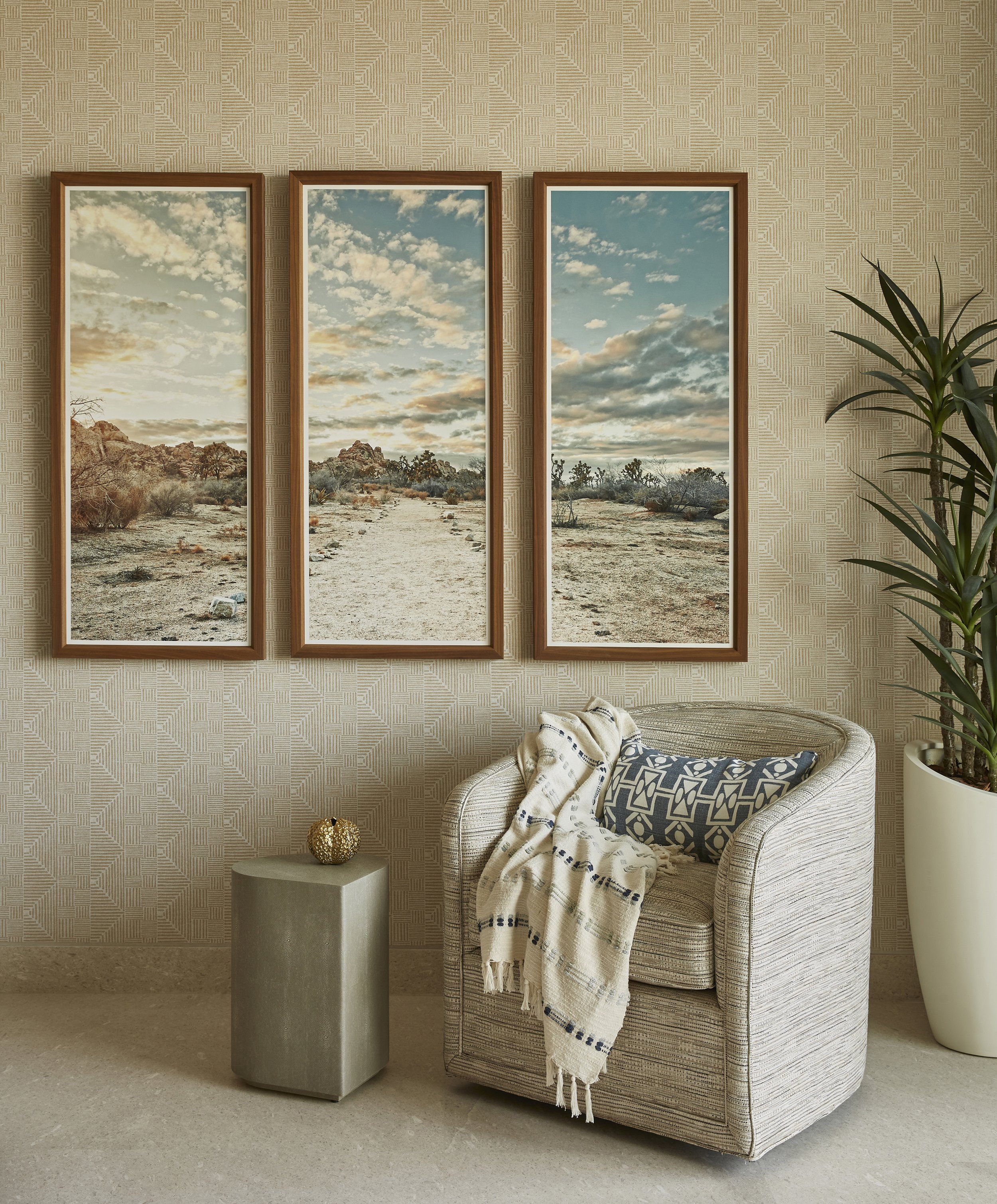 Living room with a beige armchair, patterned pillow, white blanket, a small side table with a decorative gold ball, a tall potted plant, and three framed landscape photos of desert scenery with cloudy sky on the wall.