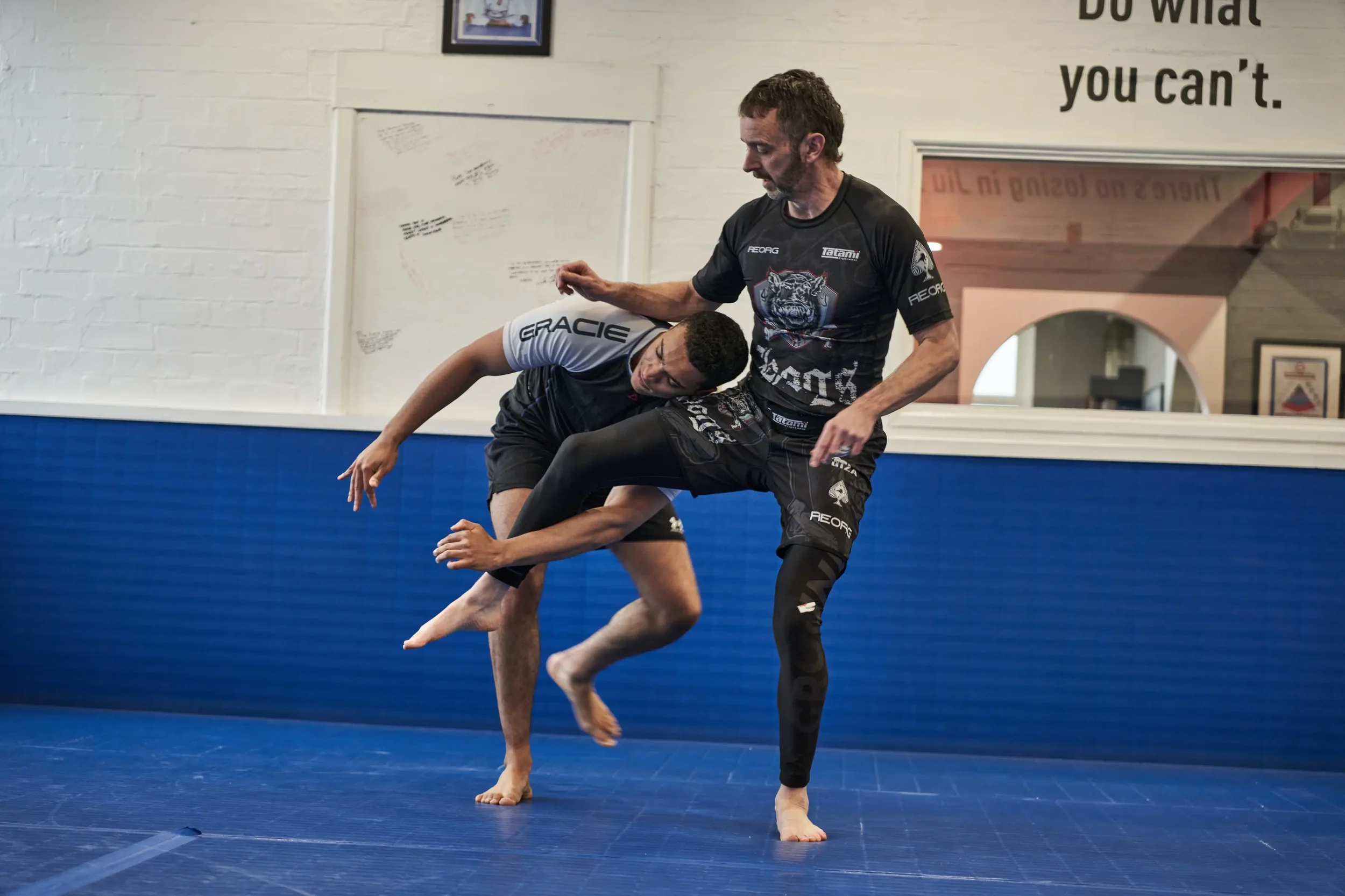 Adult no Gi 7036.webp