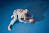 Gracie Barra Roundhay Leeds BJJ photo