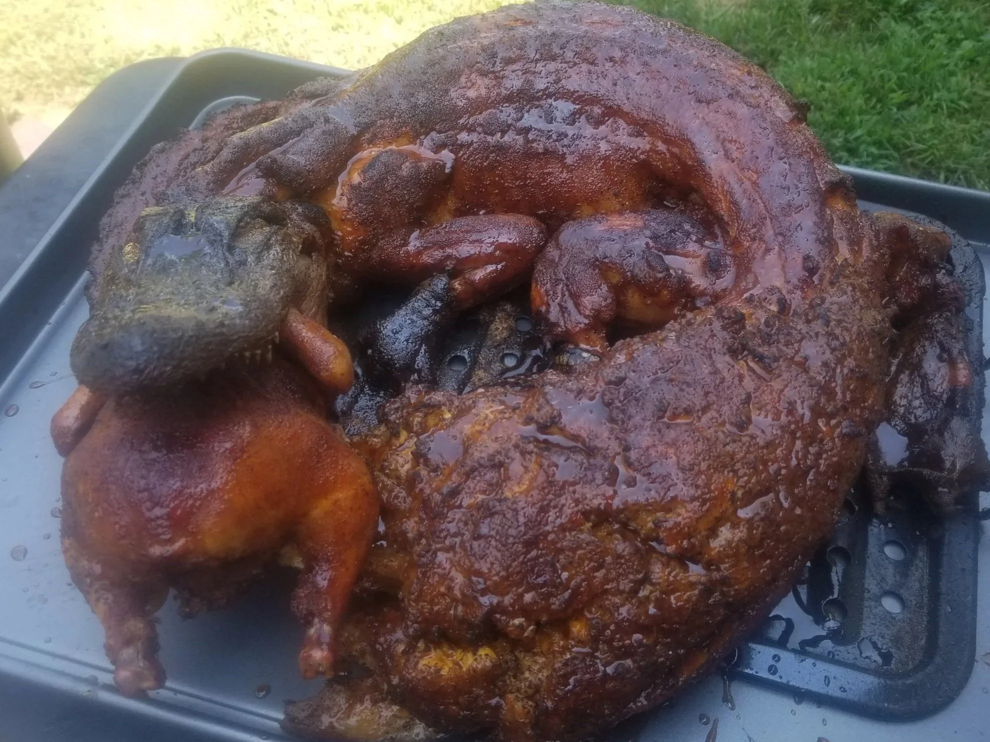 Yes, that is an alligator!