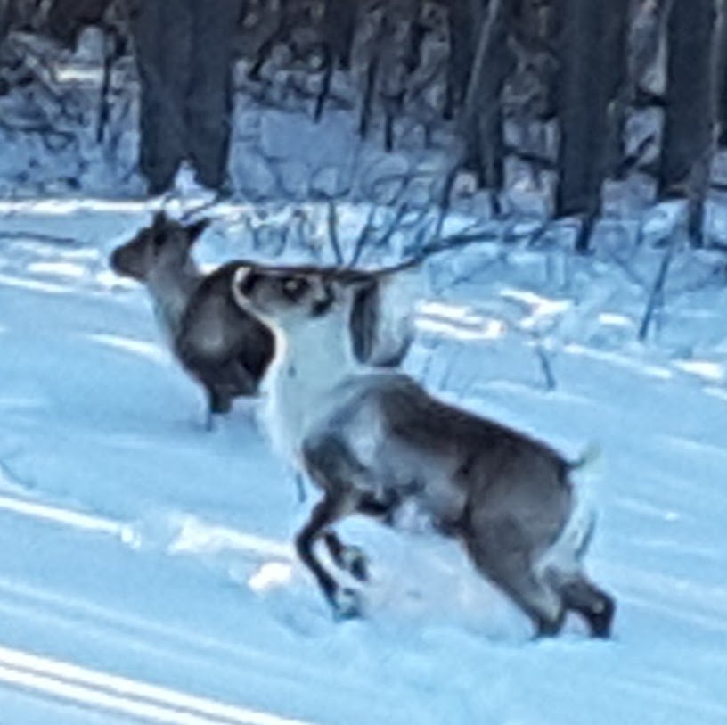 20170209_120257-edited.jpg