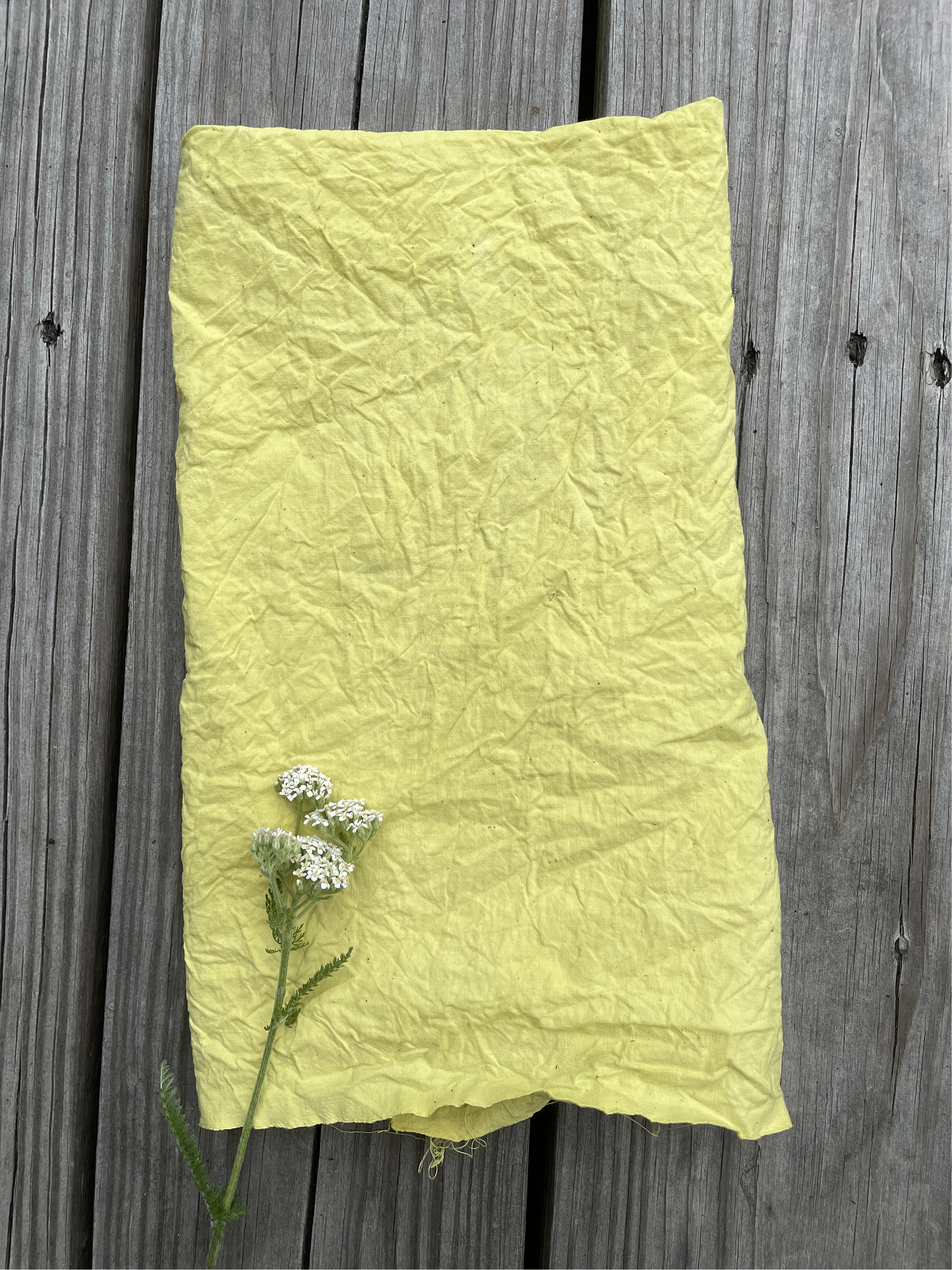 A yellow piece of textured paper with a small white flower and green stem placed on it, on a wooden surface.