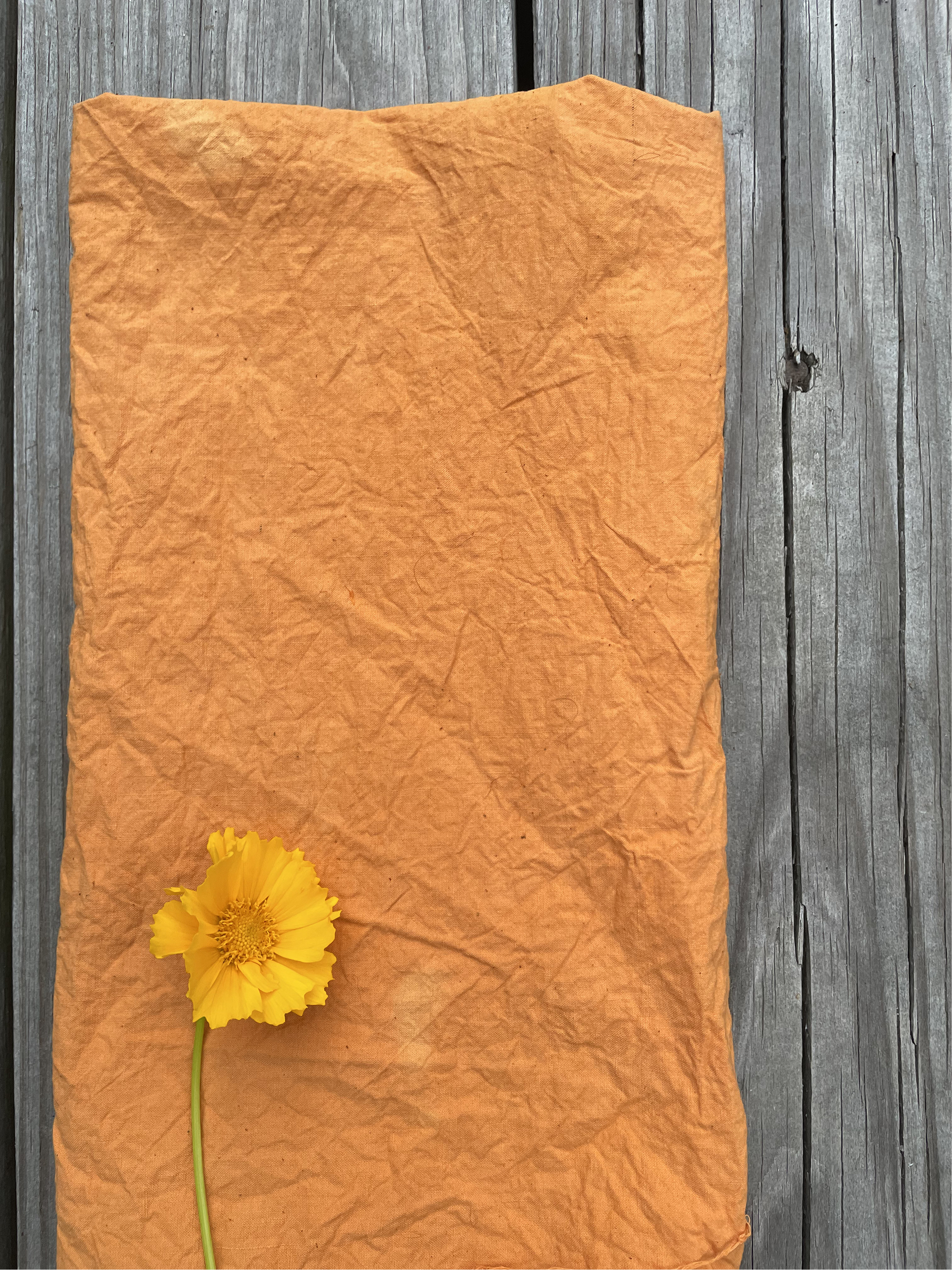 A yellow flower with a green stem resting on an orange cloth, on a weathered wooden surface.