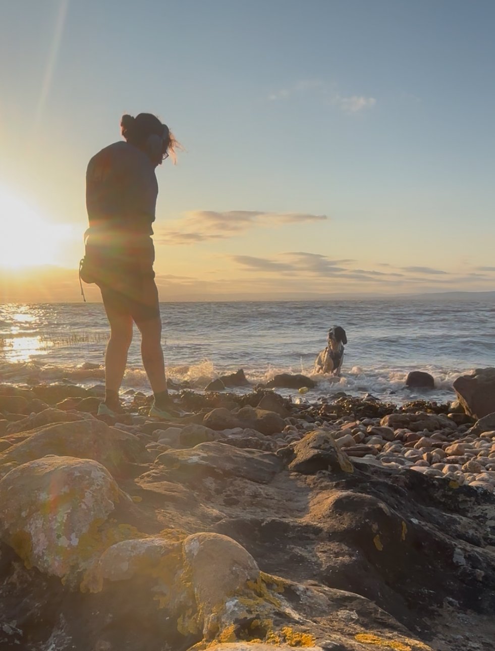 A woman with a ponytail standing on a rocky beach during sunset, looking at a dog in the ocean water.