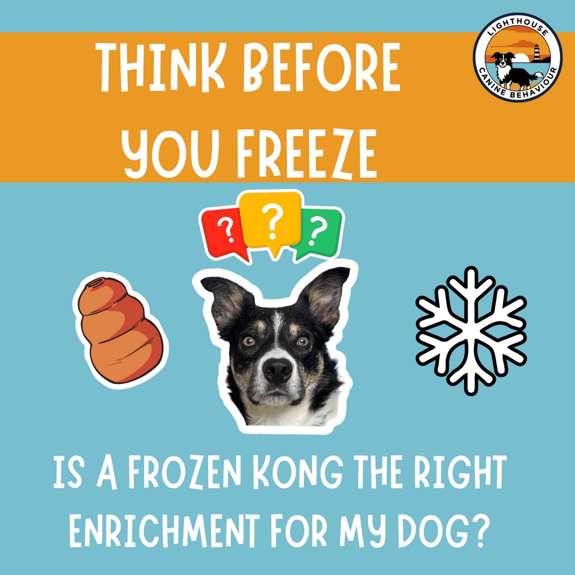 Think before you freeze: Do we need to rethink the frozen kong?