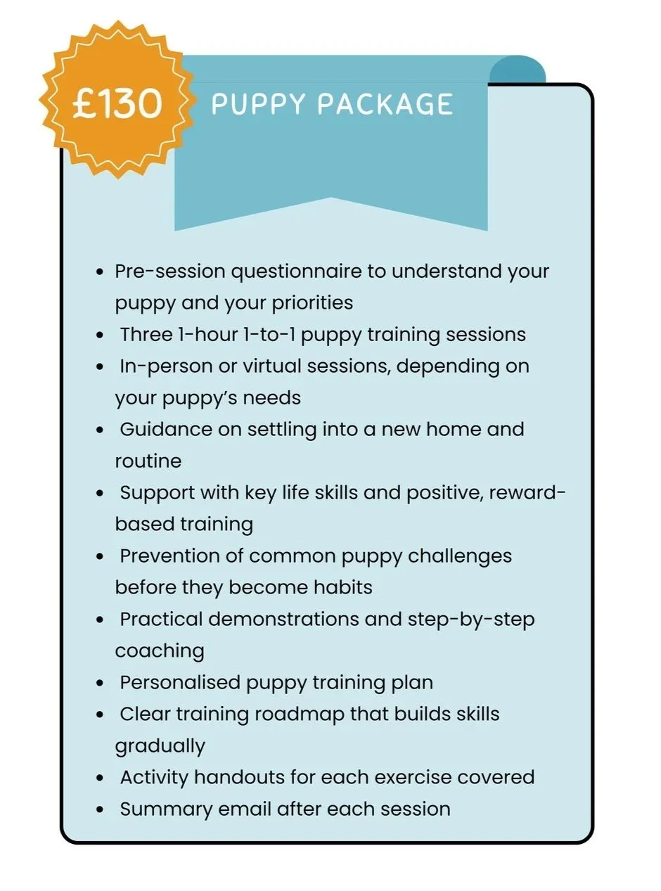 A flyer advertising a puppy training package priced at £130, including pre-session questionnaire, three hour-long training sessions, guidance on settling into a new home, support with key life skills, prevention of puppy challenges, practical demonstrations, personalized training plan, training roadmap, activity handouts, and a follow-up email.