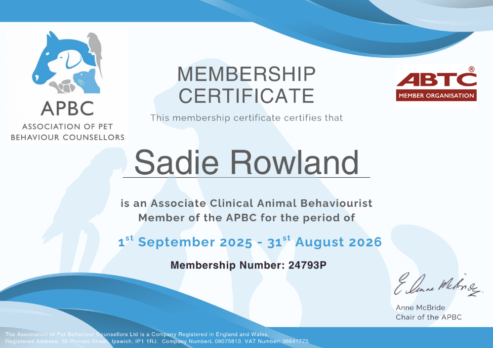 Membership certificate from the Association of Pet Behaviour Counsellors (APBC) awarded to Sadie Rowland, valid from September 1, 2025, to August 31, 2026, signed by Anne McBride, with logos of APBC and ABTC.