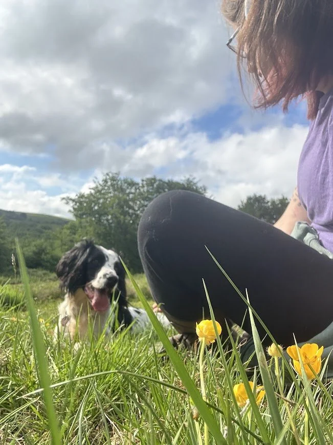 A woman sitting on the grass with a black and white dog in a green field with yellow flowers and trees in the background, under a cloudy sky.
