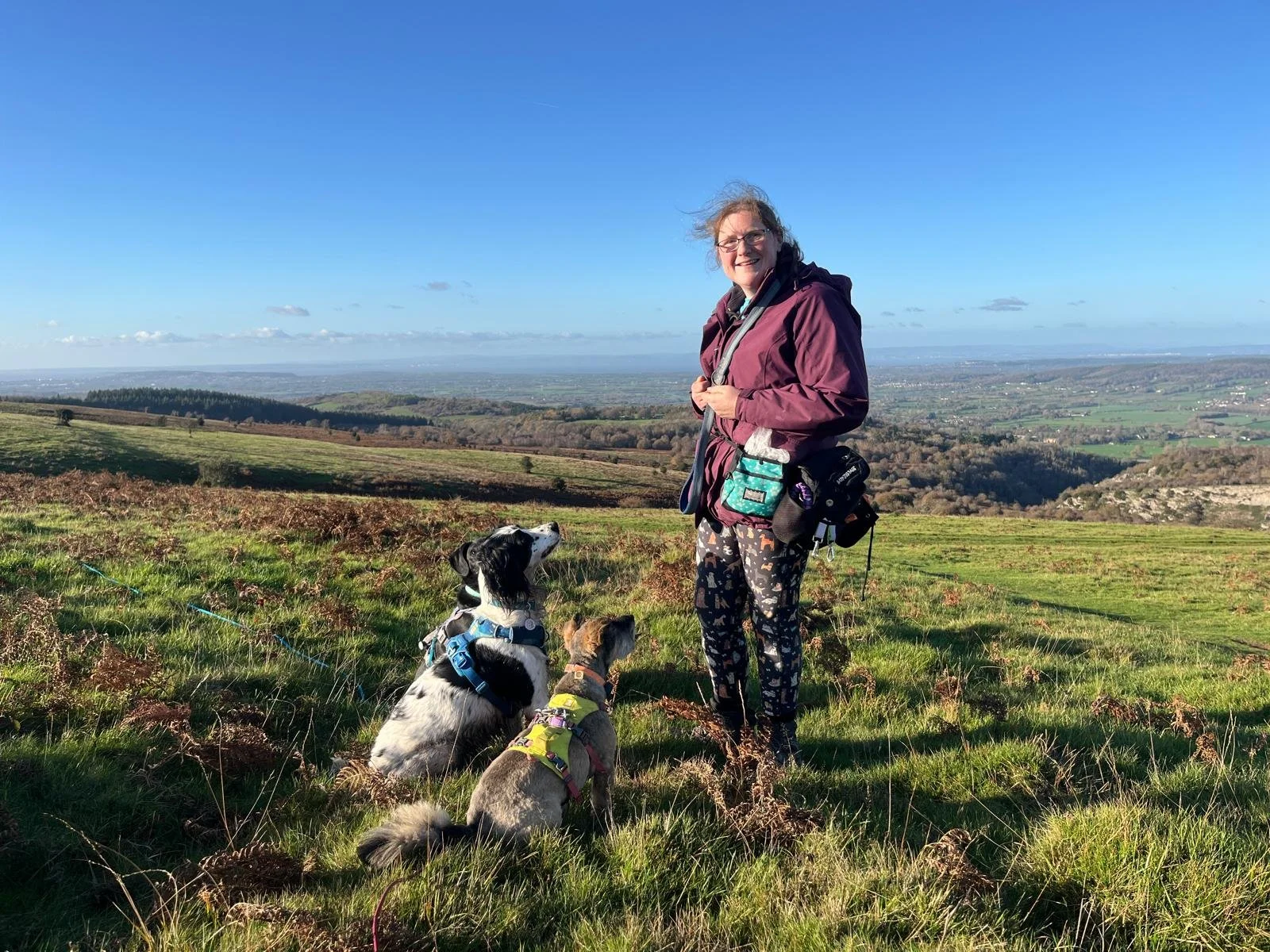 A woman standing outdoors on a grassy hillside with two dogs sitting nearby, overlooking a wide landscape of rolling hills and fields under a clear blue sky.