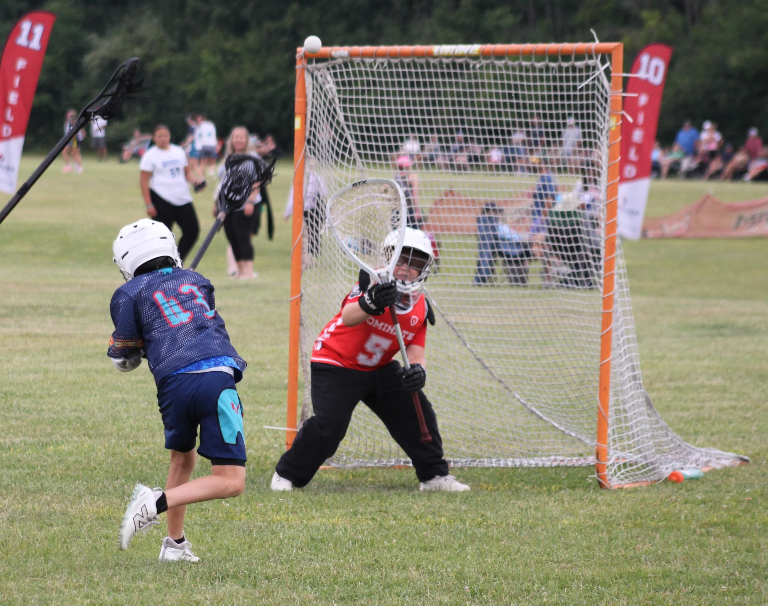 Kids playing lacrosse on a grassy field during a sporting event, with spectators in the background and a lacrosse goal in the foreground.