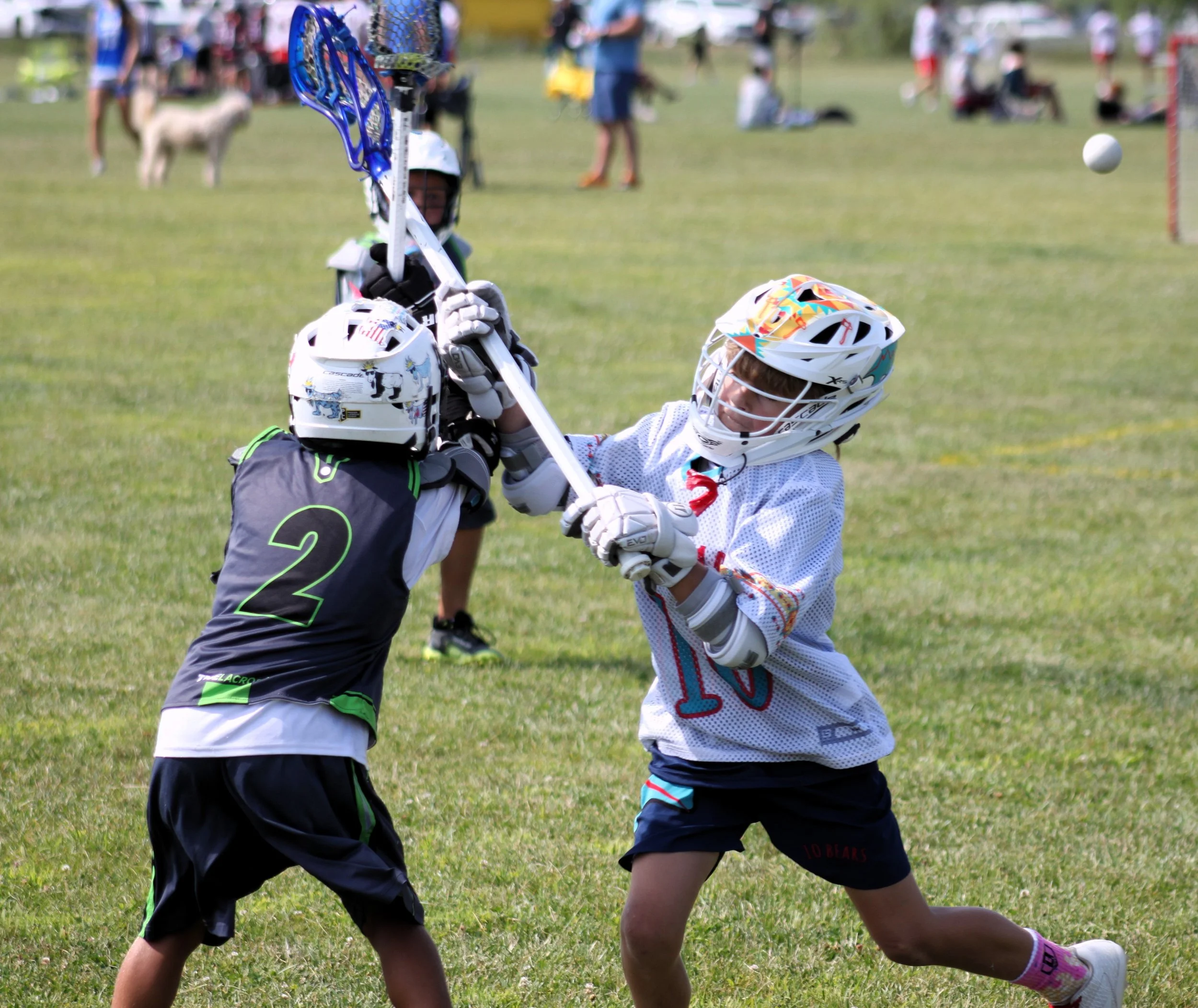 Two young children playing lacrosse outdoors on a grassy field on a sunny day, with many people in the background.