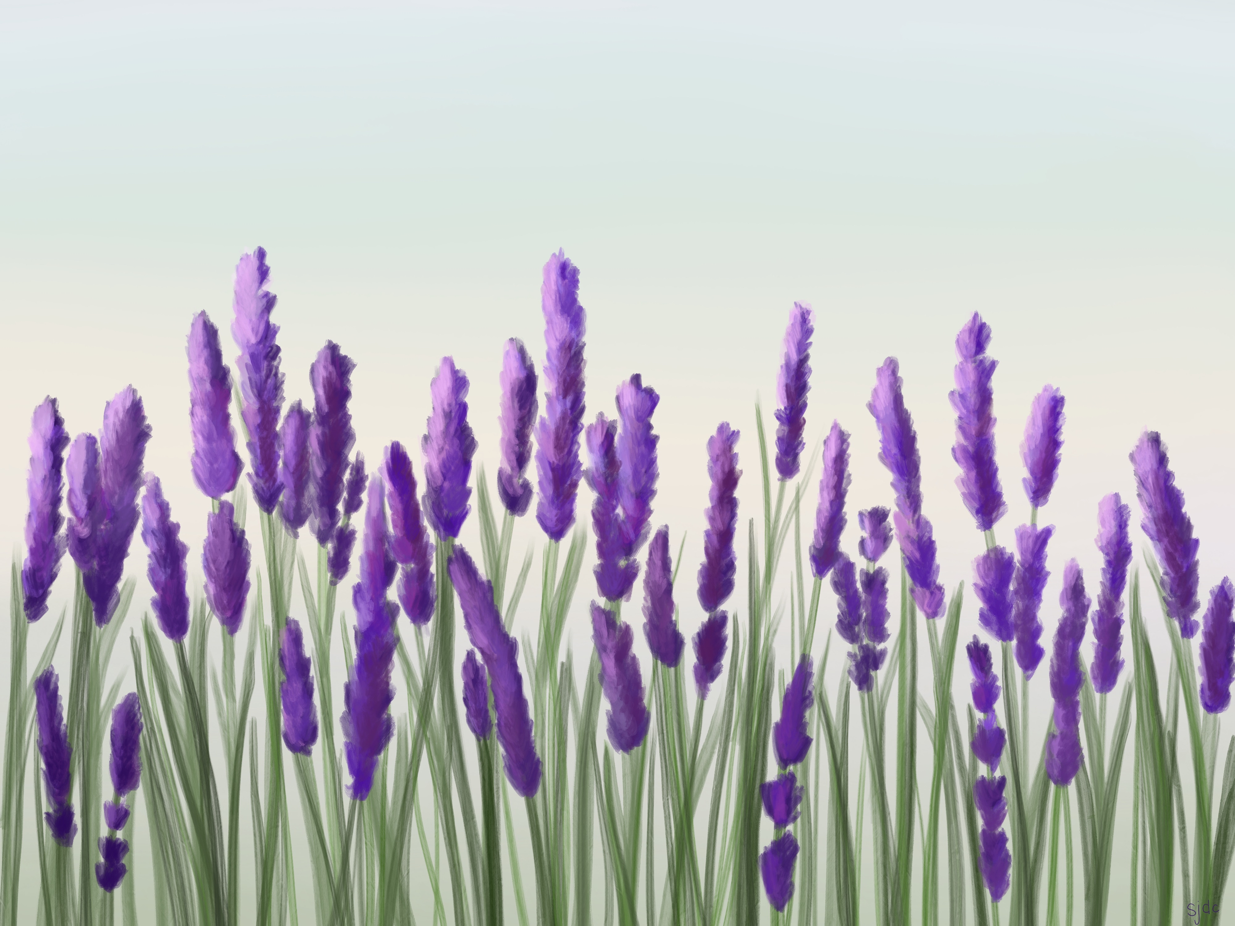 Lavender_Fields_.png