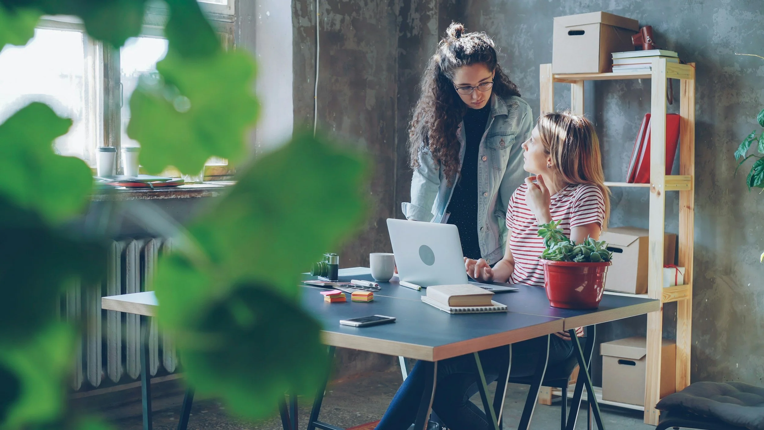 Two young women working together at a desk in an office with plants, books, and shelves in the background, with sunlight coming through a window.