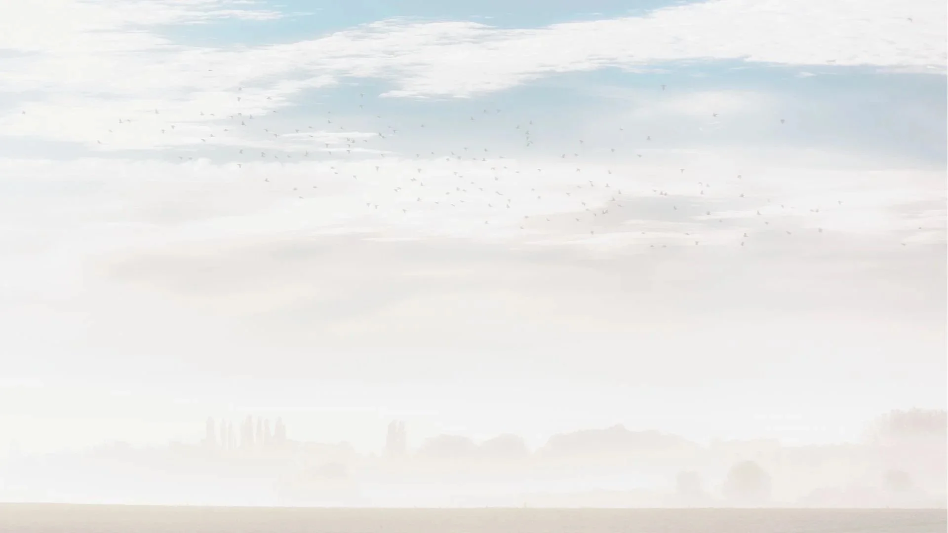 Photo_Field_European_Fog_2_Intro deck.jpg