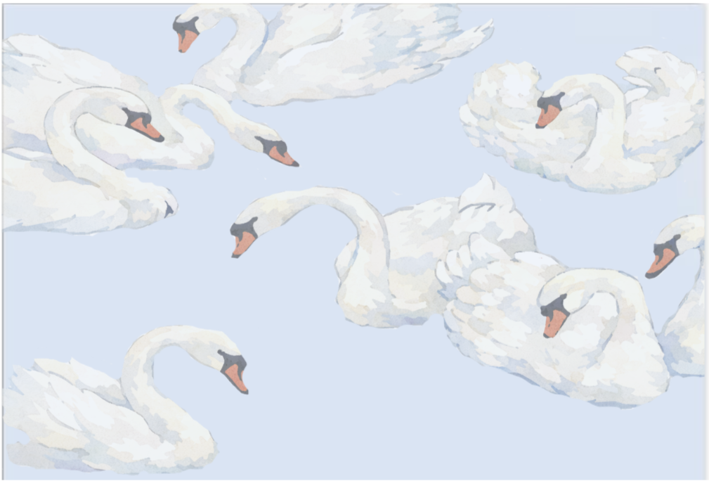 Multiple illustrated white swans swimming against a light blue sky background.