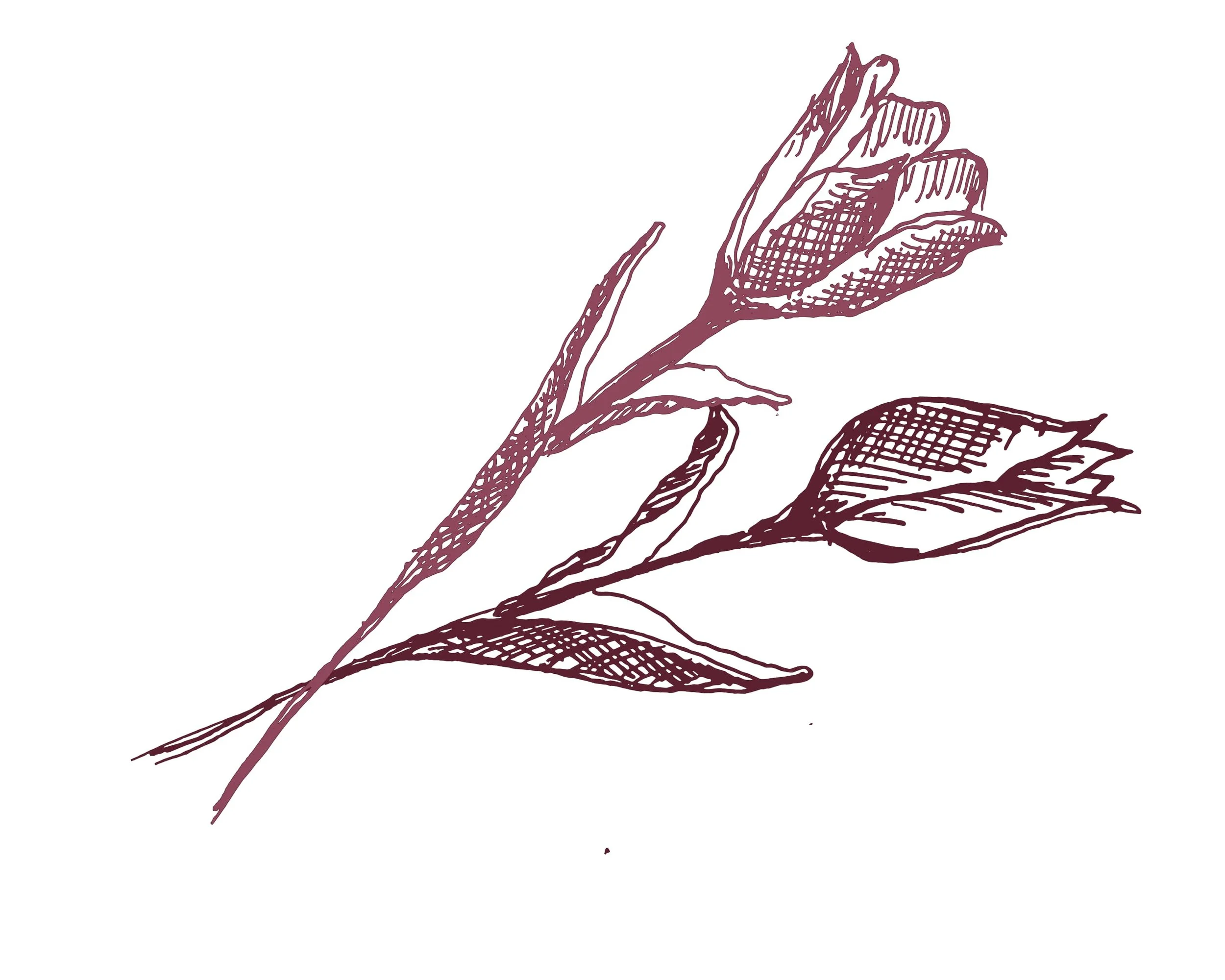 custom illustration and bespoke invitation design NYC