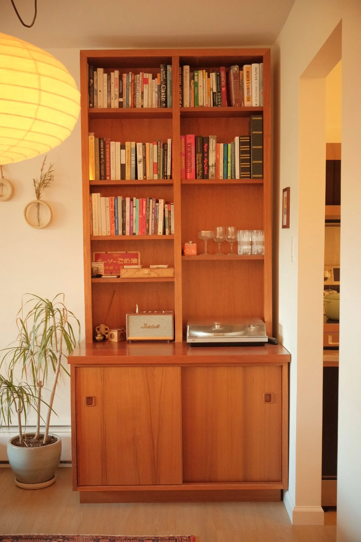 The Collector's Cabinet (Full Height)