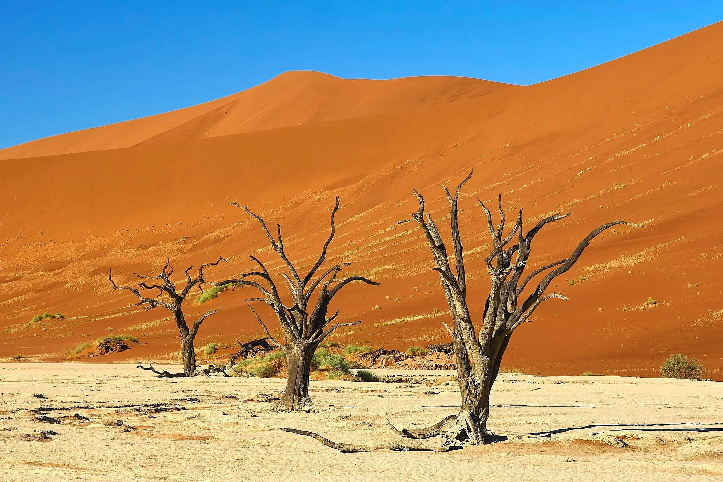 Namibia