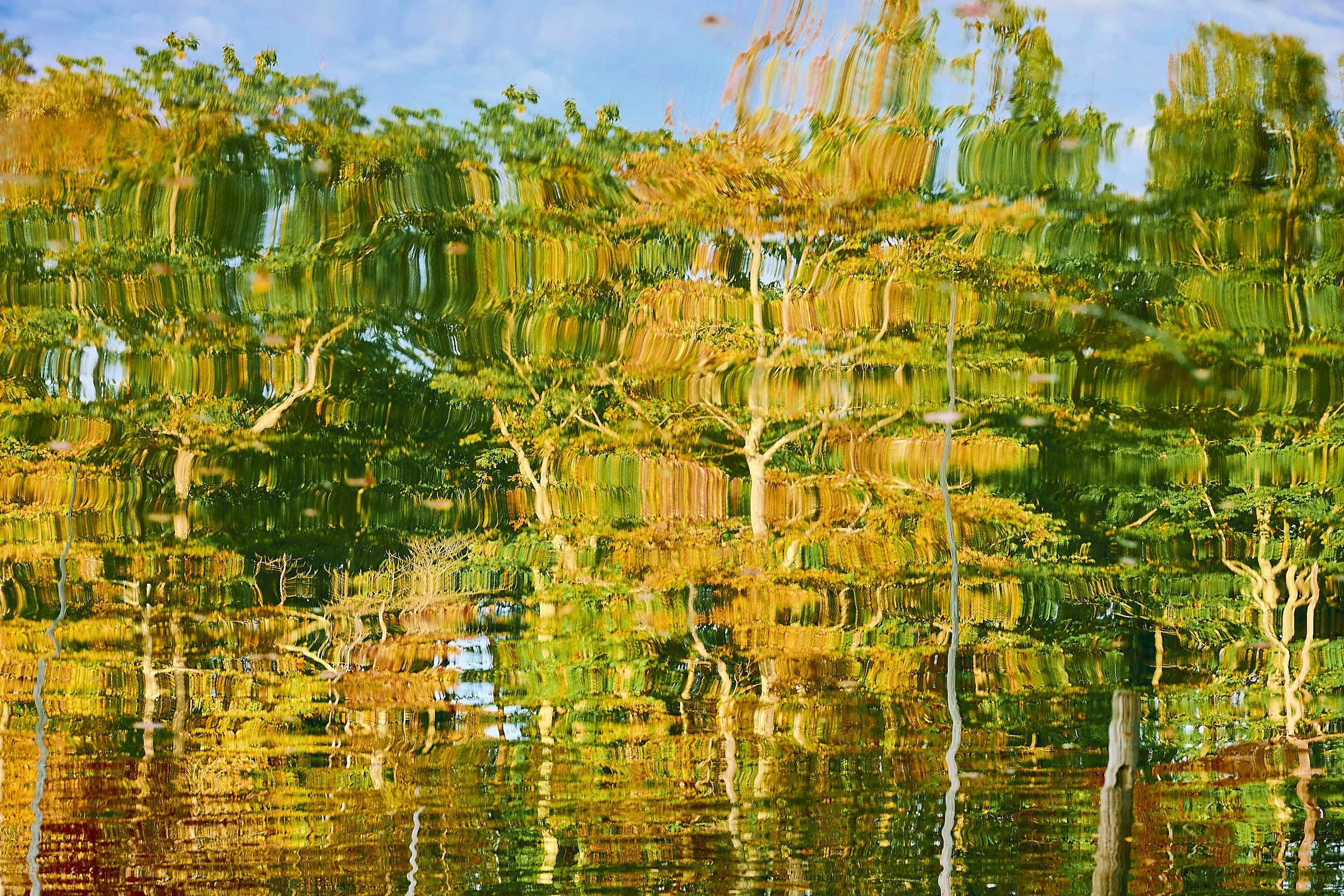 Reflection-Manasquan Reservoir