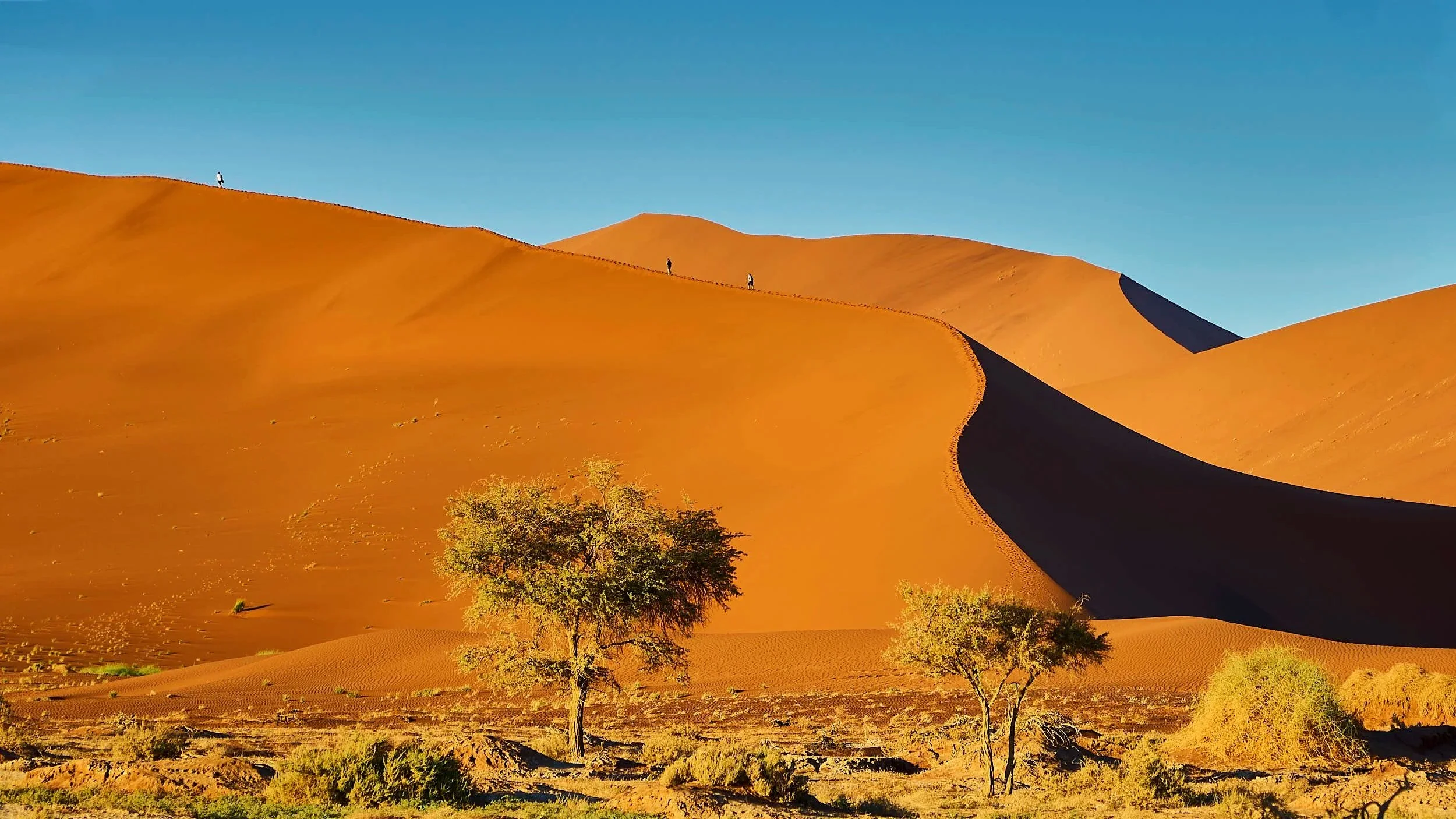 Walking up Dune 45: Sossusvlei, Namib Desert