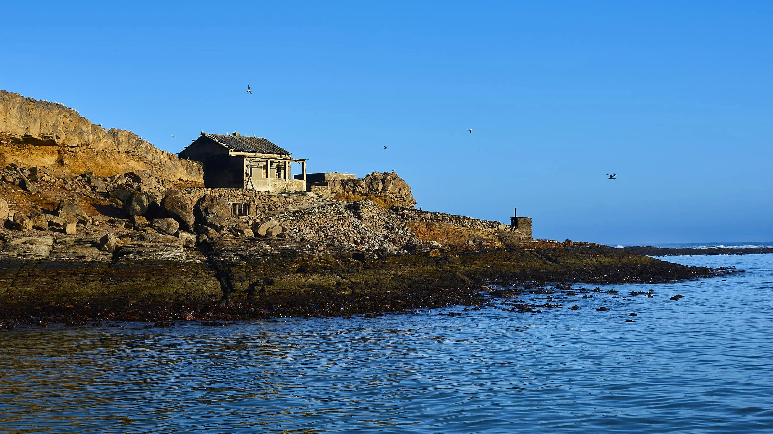 A rocky coastal scene with an old house on the cliffside, clear blue sky, and seagulls flying over the water.
