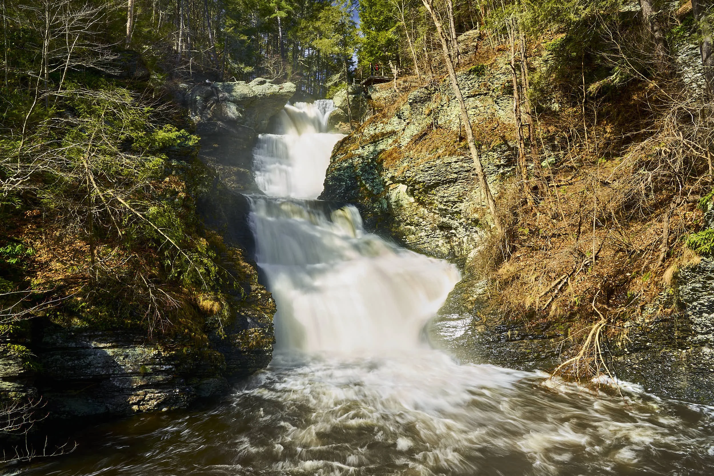 A waterfall flowing over rocks in a forest with trees and sunlight.