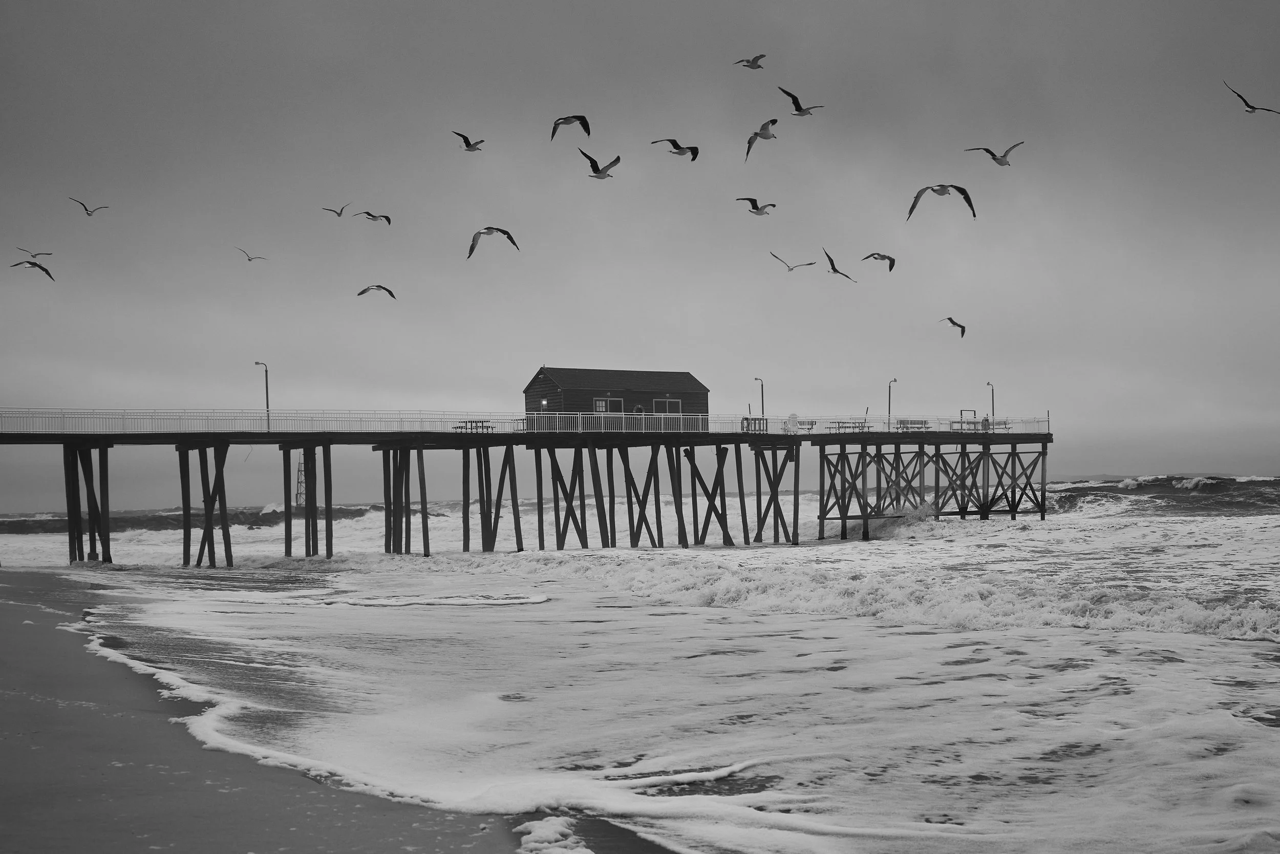 A black and white photo of a pier extending into the ocean, with seagulls flying overhead and waves crashing on the shore.