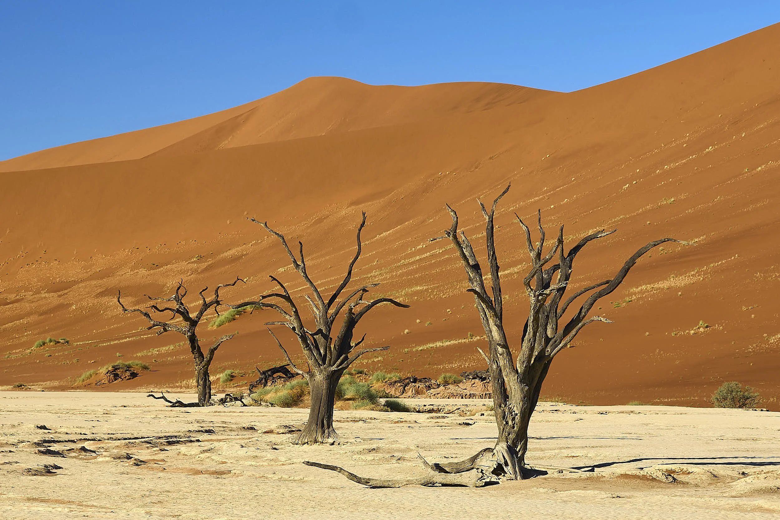 Namibia-May 24 2025-4453-Square Space.jpg