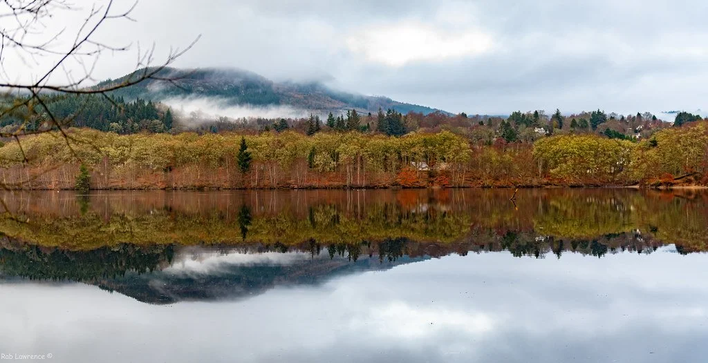 In the Beginning, There Were Useful Plants…