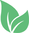 Green leaf illustration with two leaves
