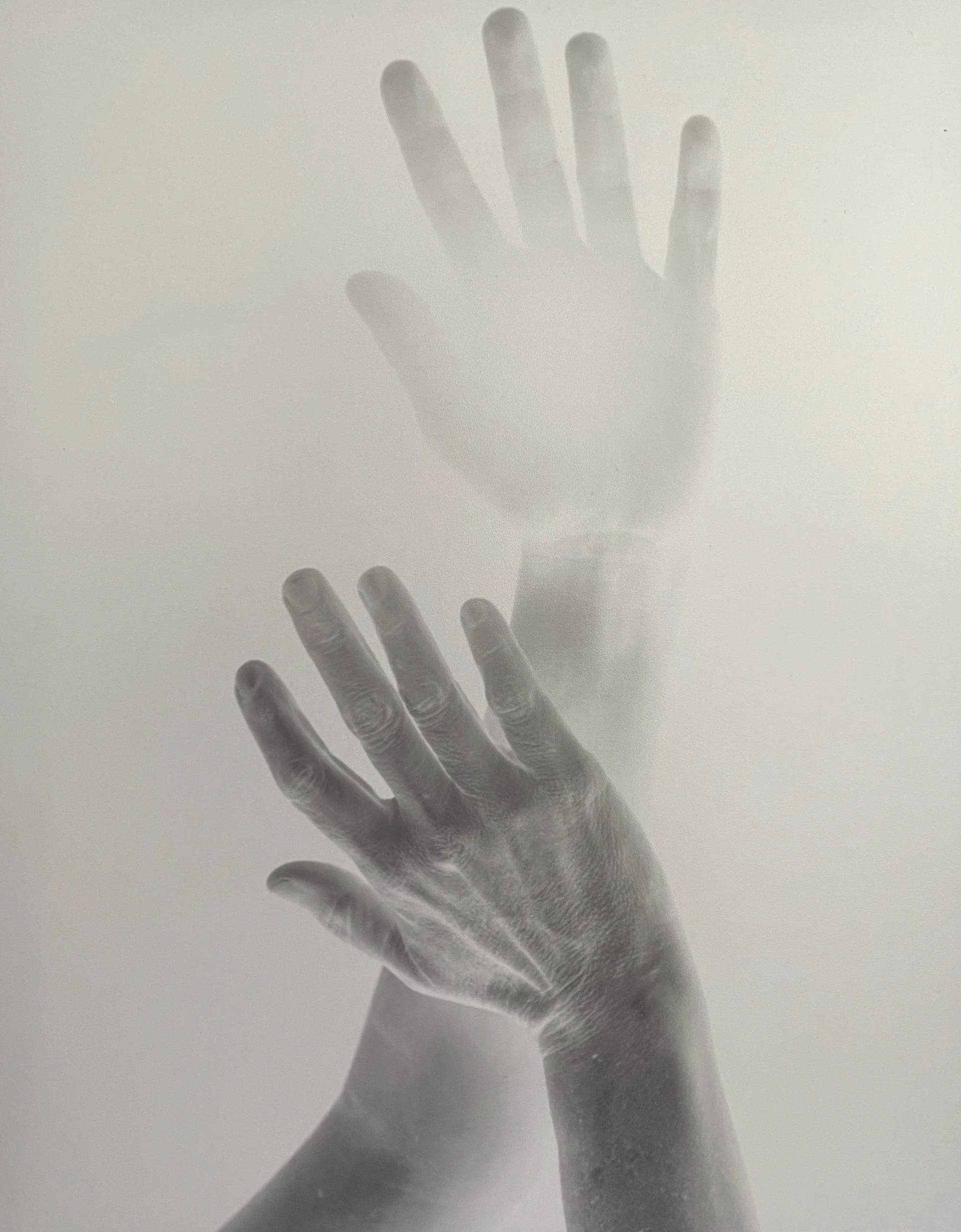 Ha’s Hands   2026