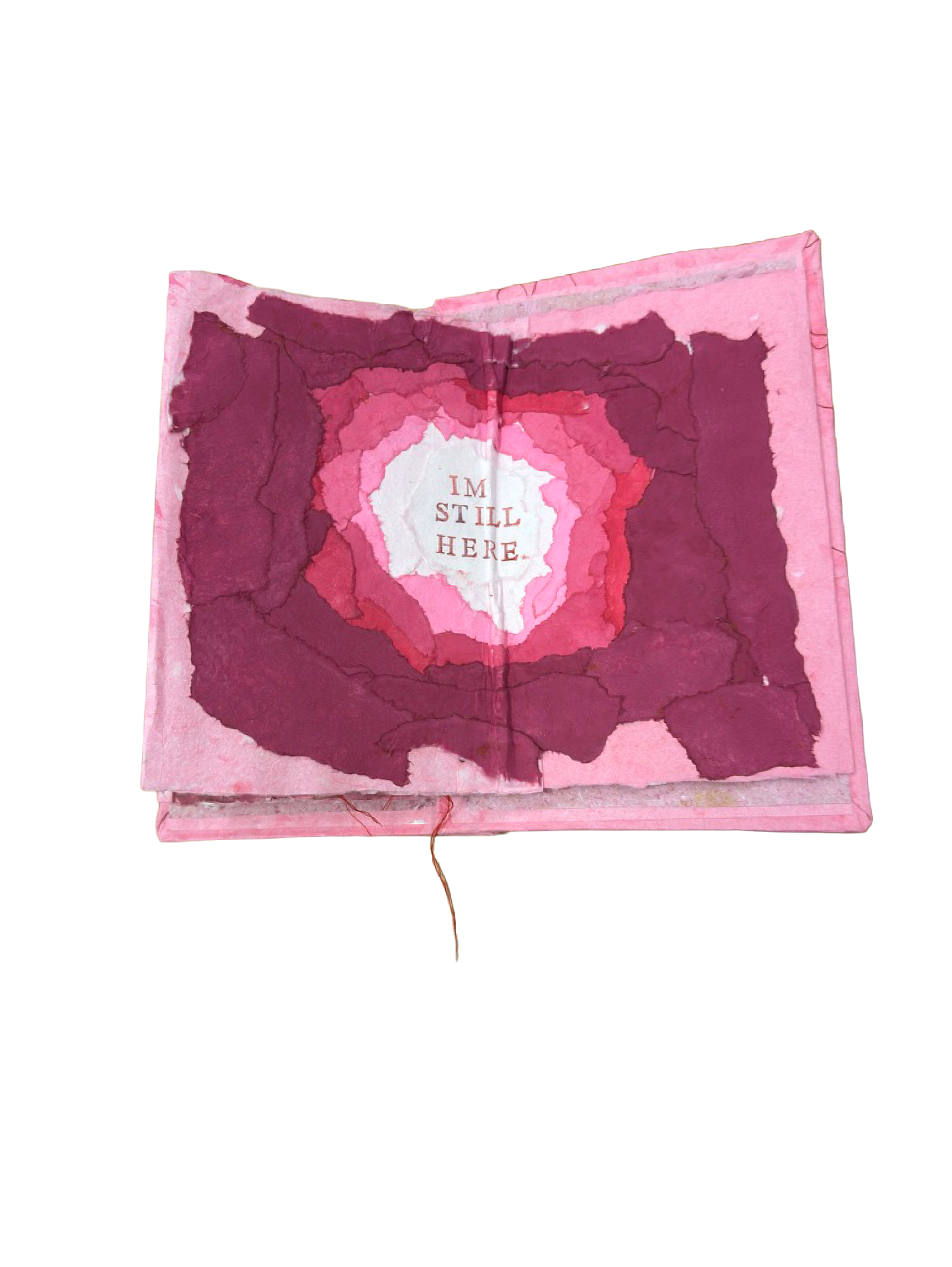 endob1.png