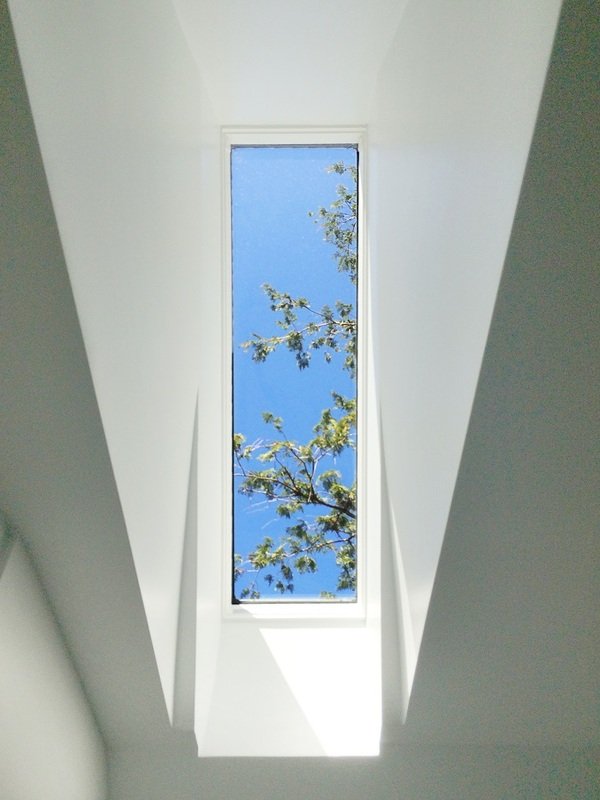 Skylight window looking up at a clear blue sky with tree branches.