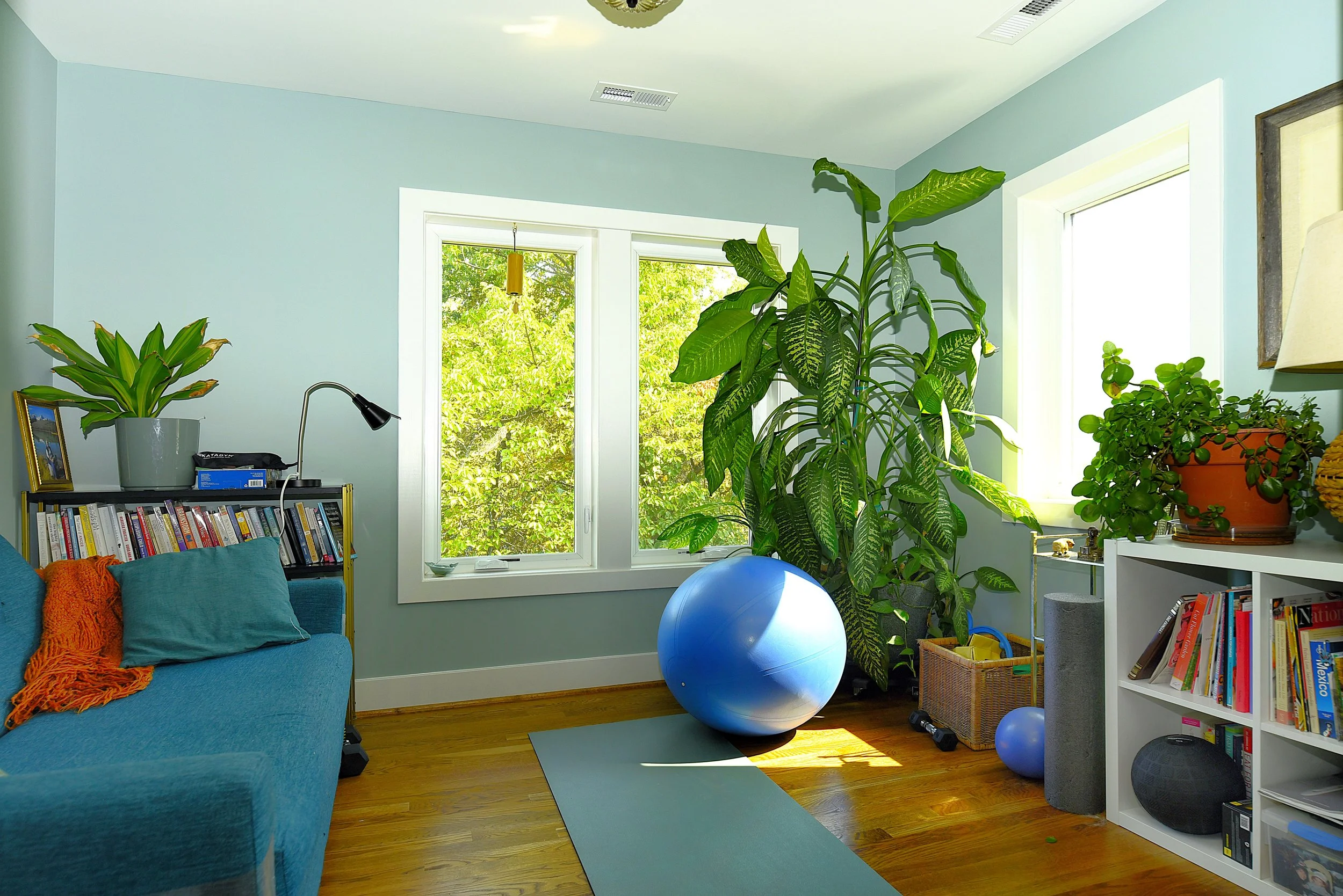 Living room with large windows, green plants, a blue exercise ball, bookshelf, and hardwood floors.