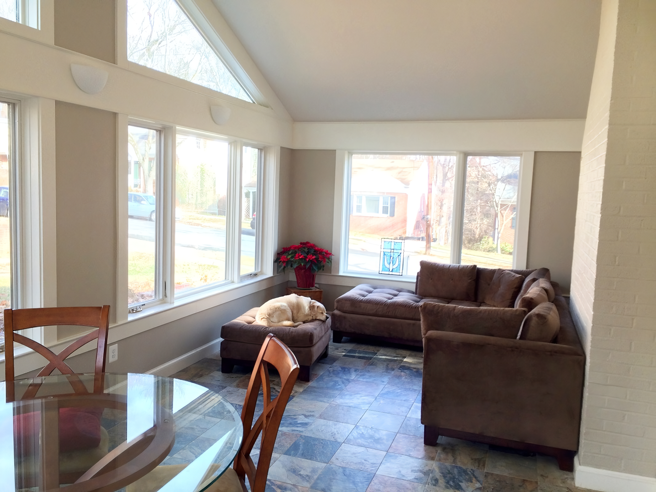 Living room with a brown couch, a ottoman with a sleeping dog, a red poinsettia plant on a small table, and large windows allowing natural light.