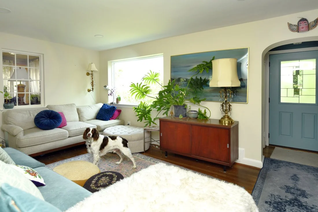Living room with a white sofa, colorful pillows, a dog, a sideboard with plants and lamps, window with sunlight, and a blue front door.