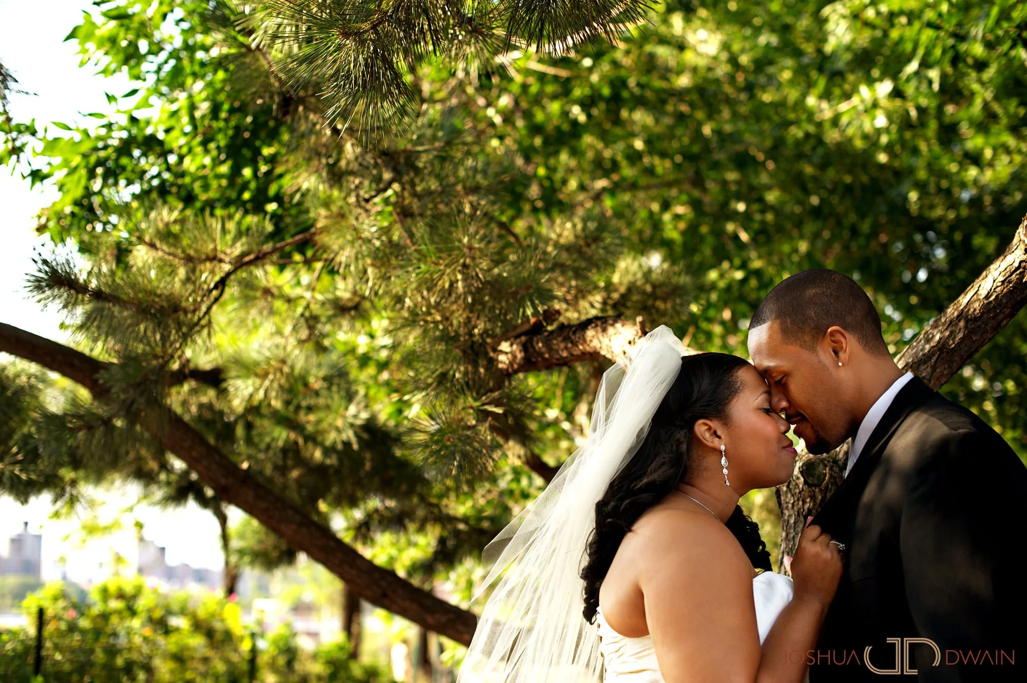 A bride and groom standing under a tree with green leaves, facing each other with foreheads touching and eyes closed in an outdoor setting.