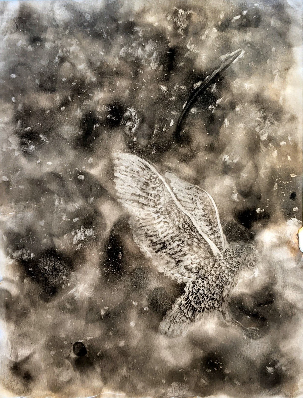 Close-up of a frozen butterfly embedded in ice, with detailed wing patterns visible.