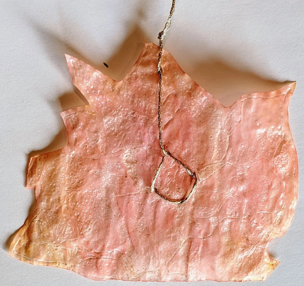 A dried pink flower with a gold string
