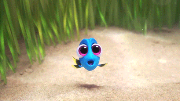 A small animated GIF of blue fish with big eyes swimming underwater near green seaweed