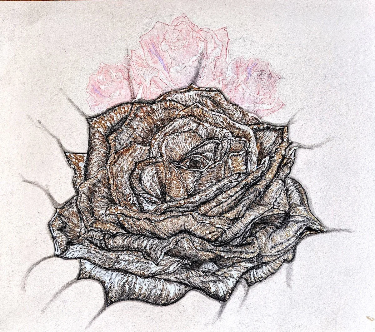 A detailed sketch of a rose with a smaller heart-shaped rose in the center, surrounded by faint pink roses in the background.