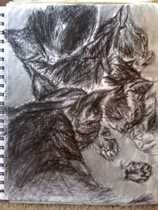 A rough sketch of a group of cats lying together on a surface, drawn with dark, textured pencil strokes.