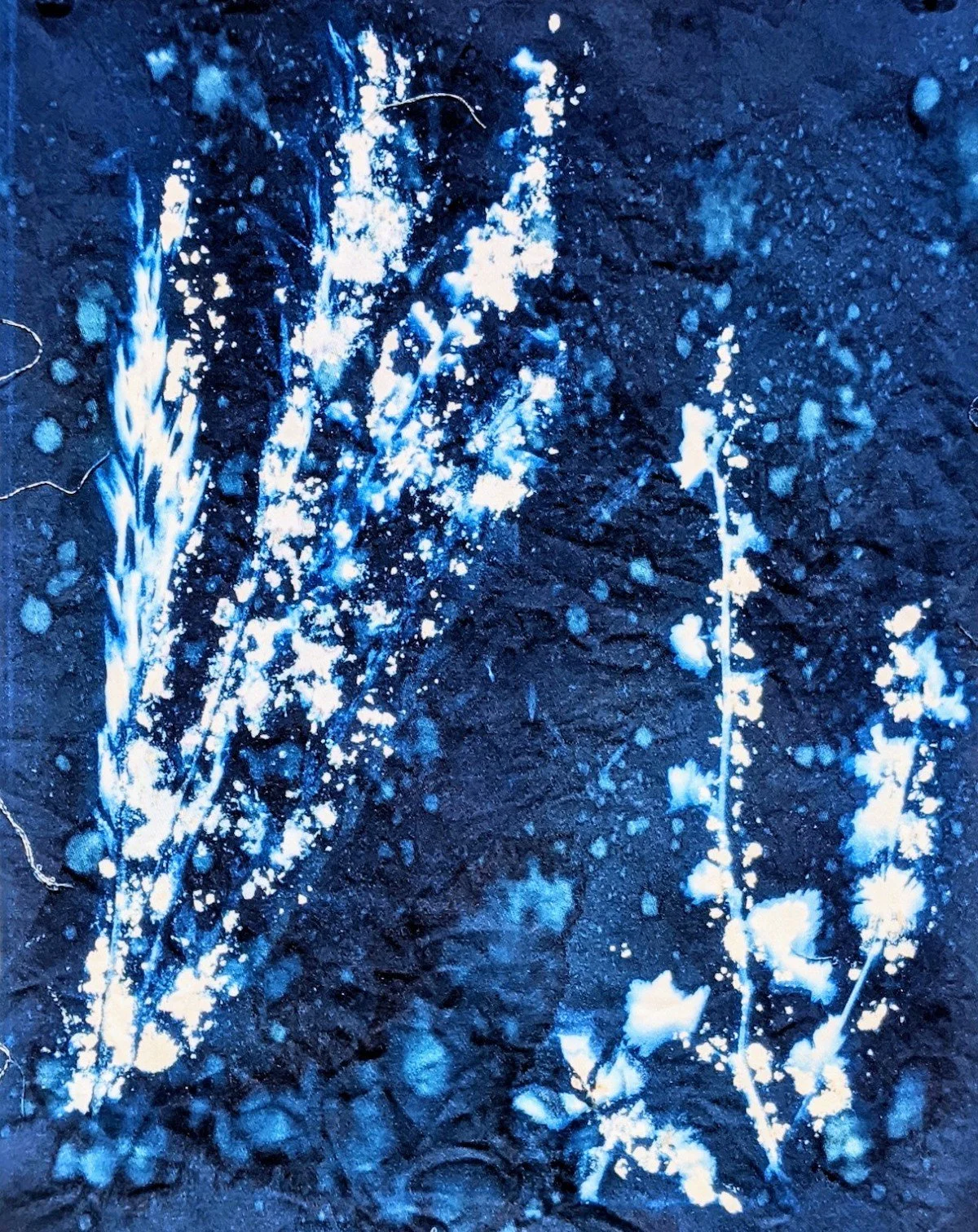 Abstract white plants and splatters on a dark blue textured background.