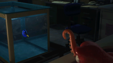 A GIF of an octopus near Dory in an aquarium in a laboratory
