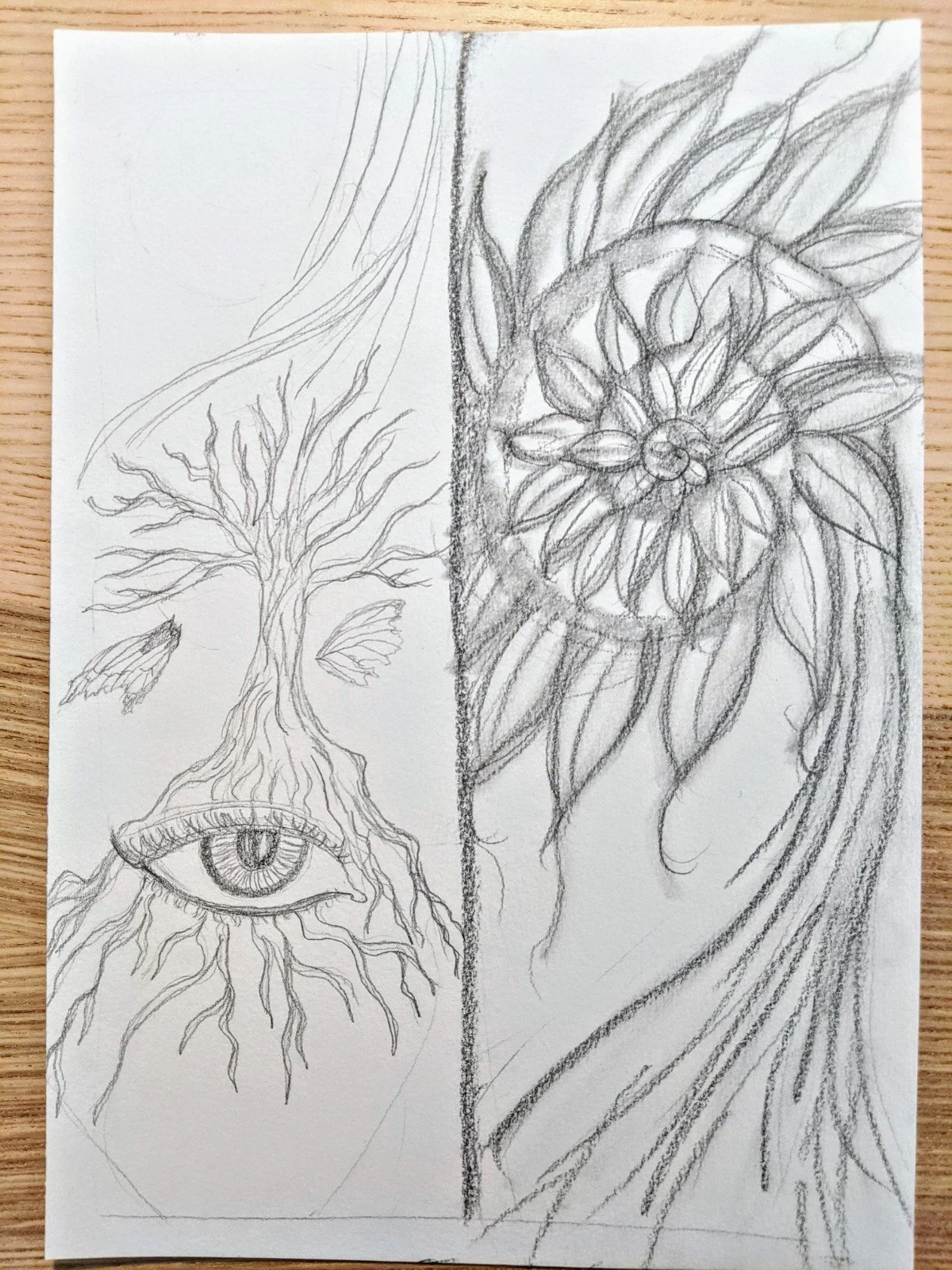 Sketch of a split design with a tree and eye on the left side, and a sunflower on the right side, all drawn in pencil.