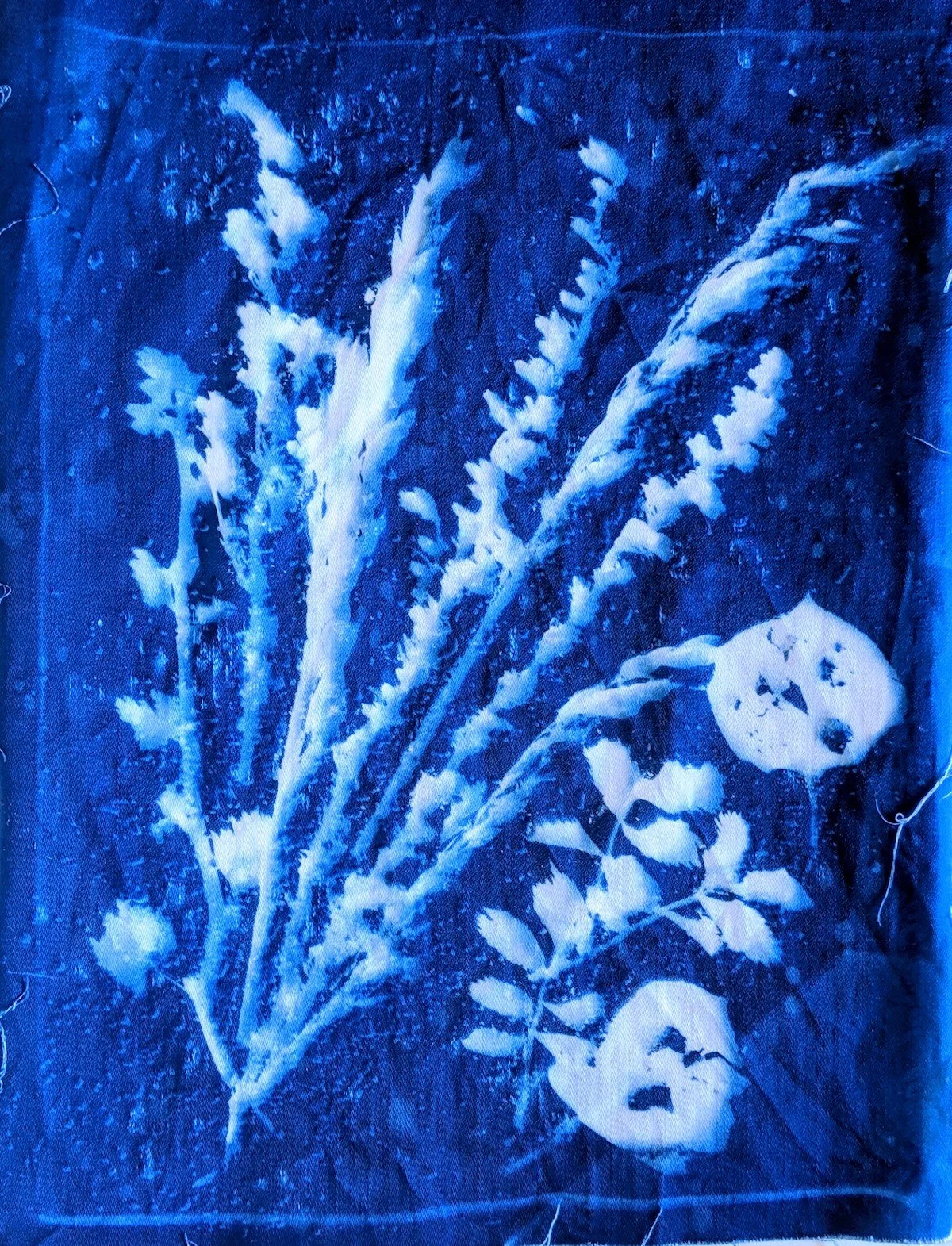 Fiber art of various plants including a large fern, a branch with round leaves, and flower, all in shades of blue and white.