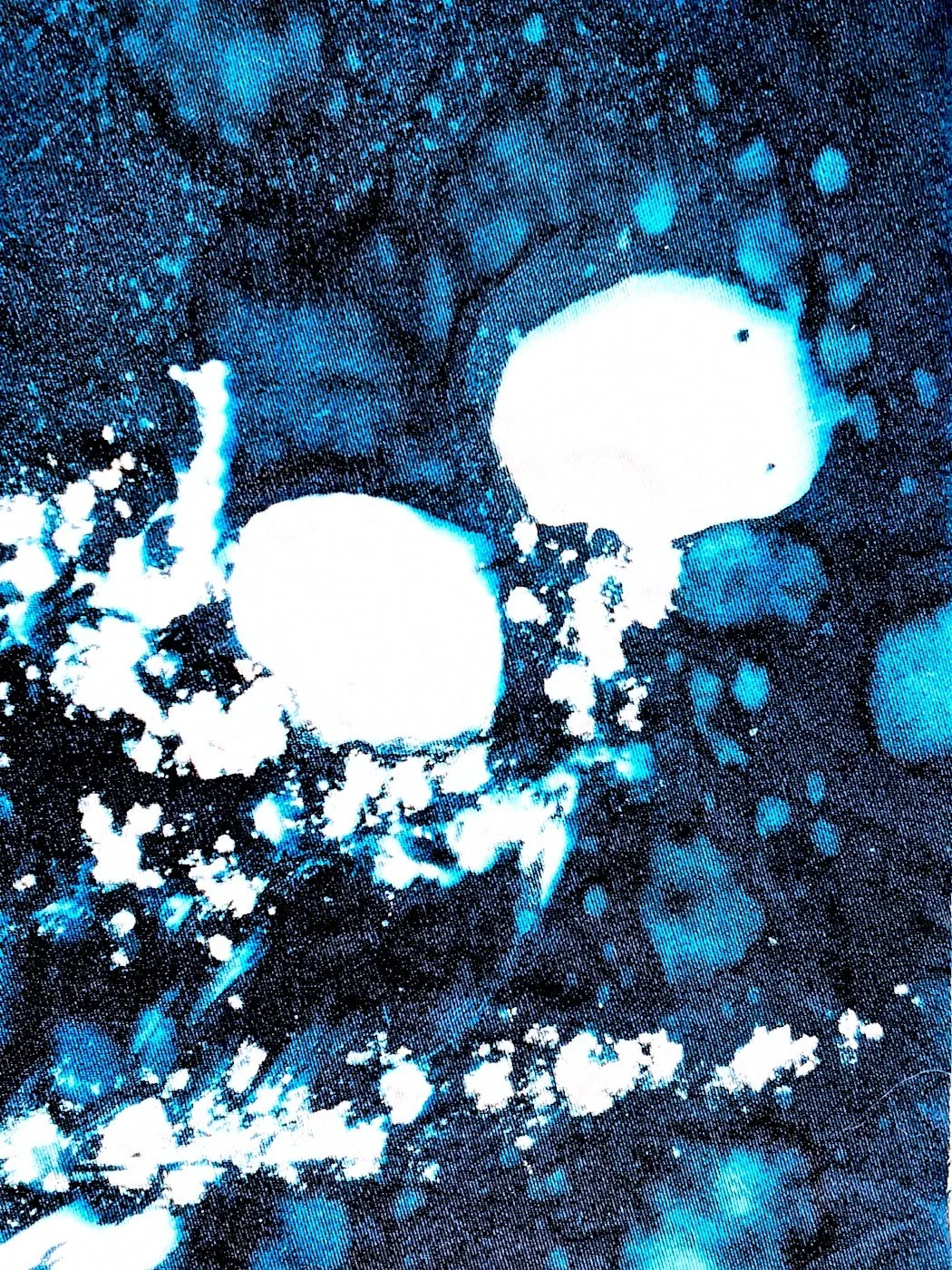 Abstract blue and black cosmic or splatter design with bright white circular shapes.