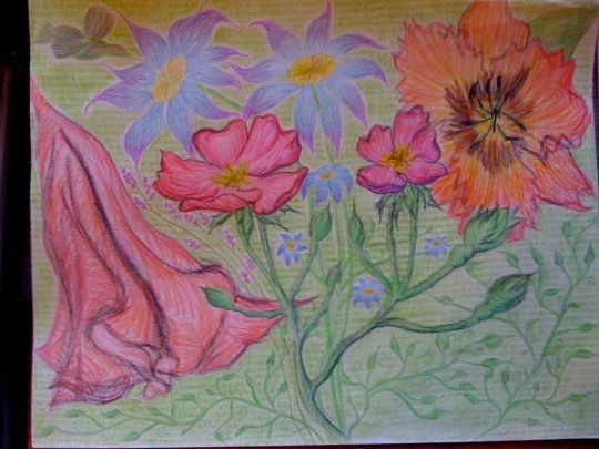 Hand-drawn illustration of colorful flowers, including purple daisies, pink poppies, orange lilies, and green leaves on a light background.
